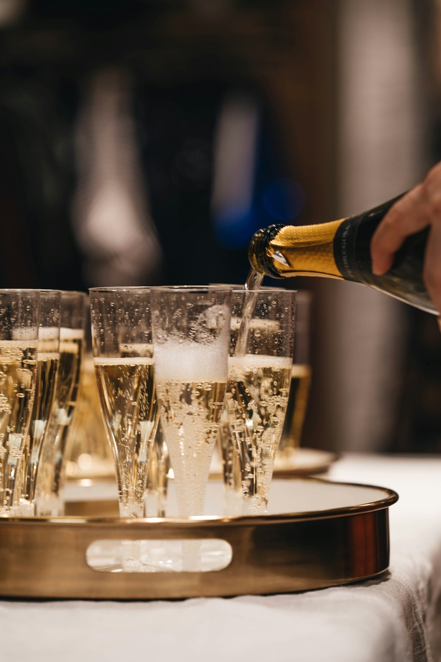 A Paws-on Adventure: Champagne Tasting Travels