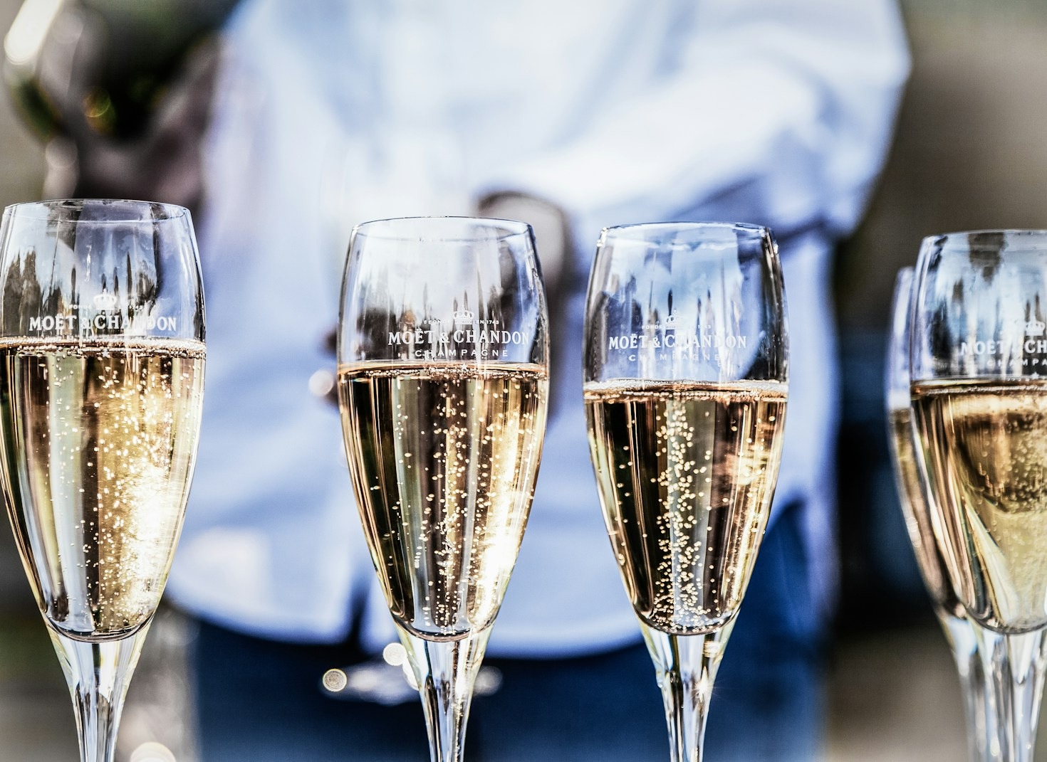 Navigating the World of Bubbles with Canine Guides