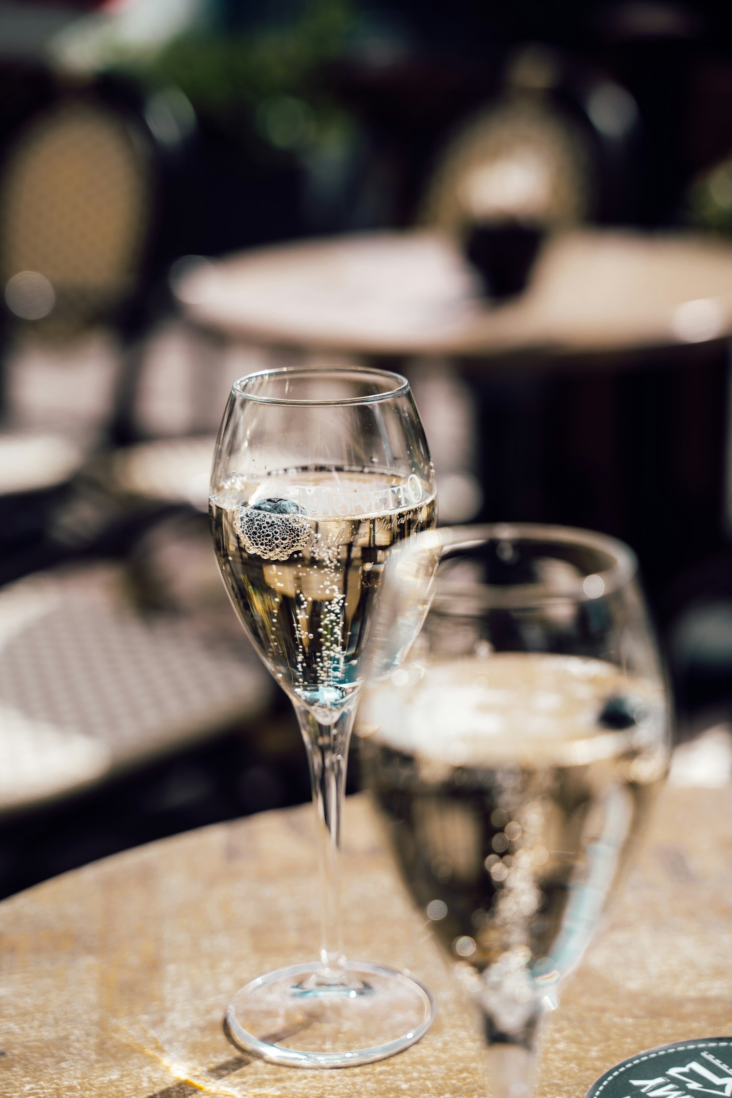 Interactive Highlights: Travel Stops for Wine-Loving Dog Owners